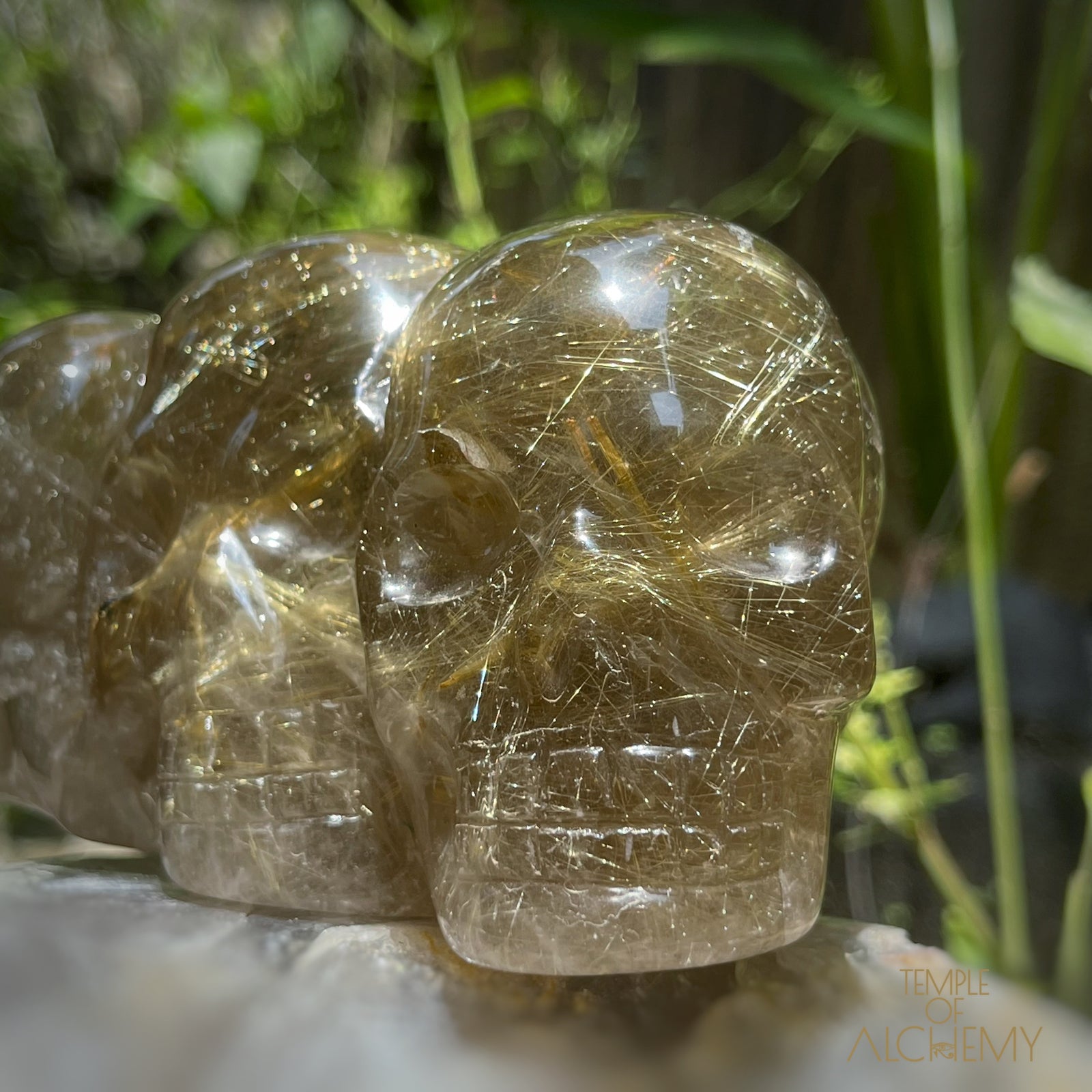 Smoky Citrine x Golden Rutiles