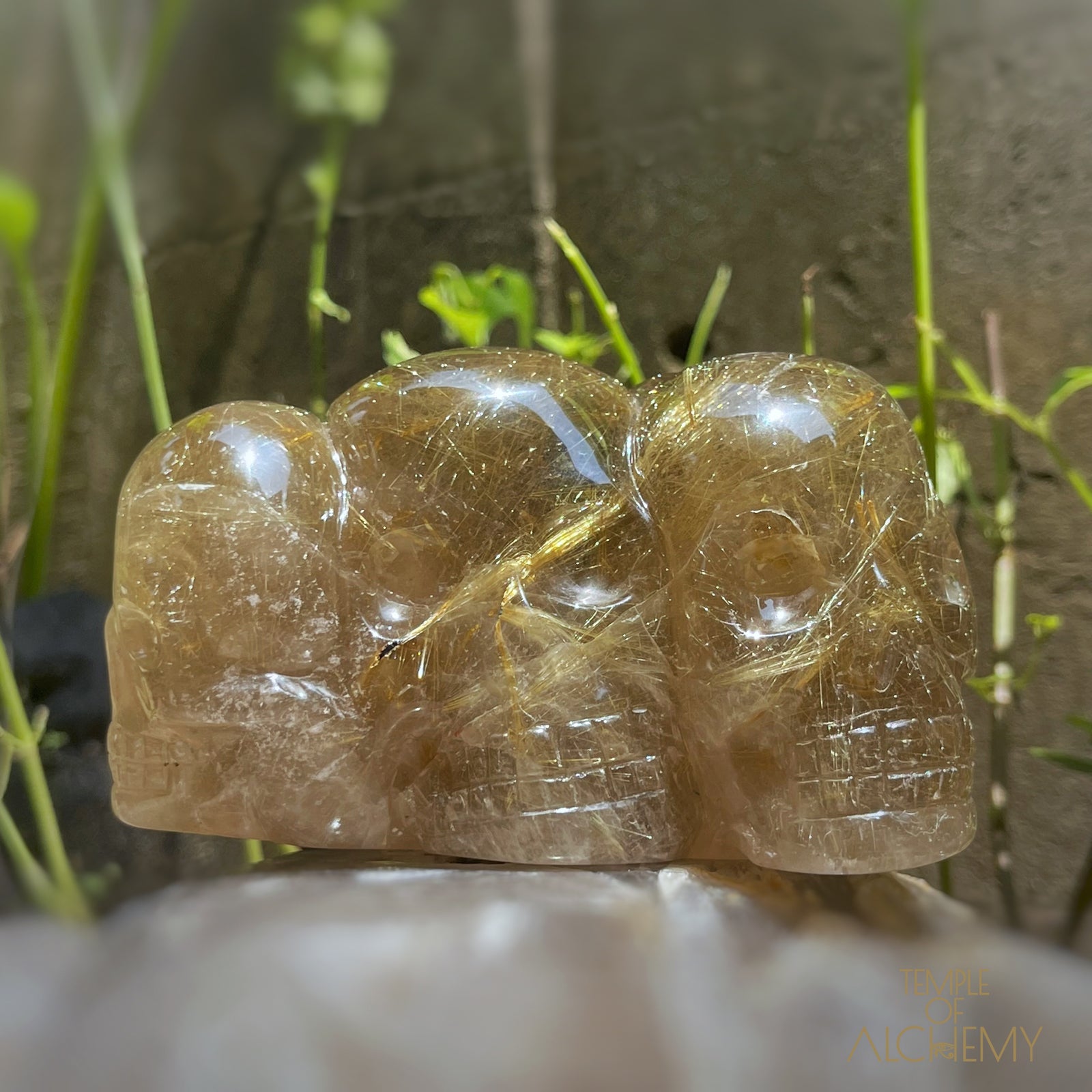 Smoky Citrine x Golden Rutiles