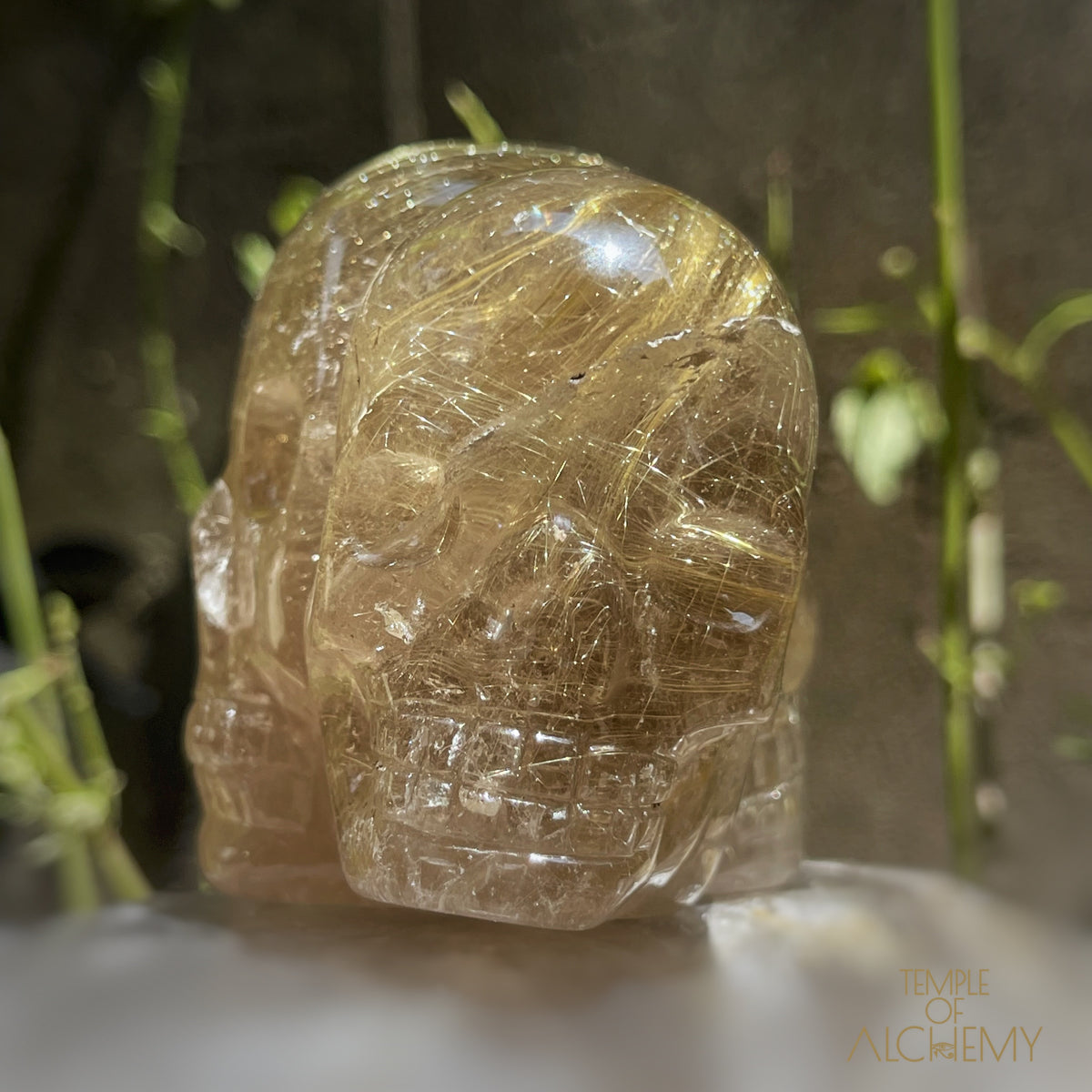 Smoky Citrine x Golden Rutiles