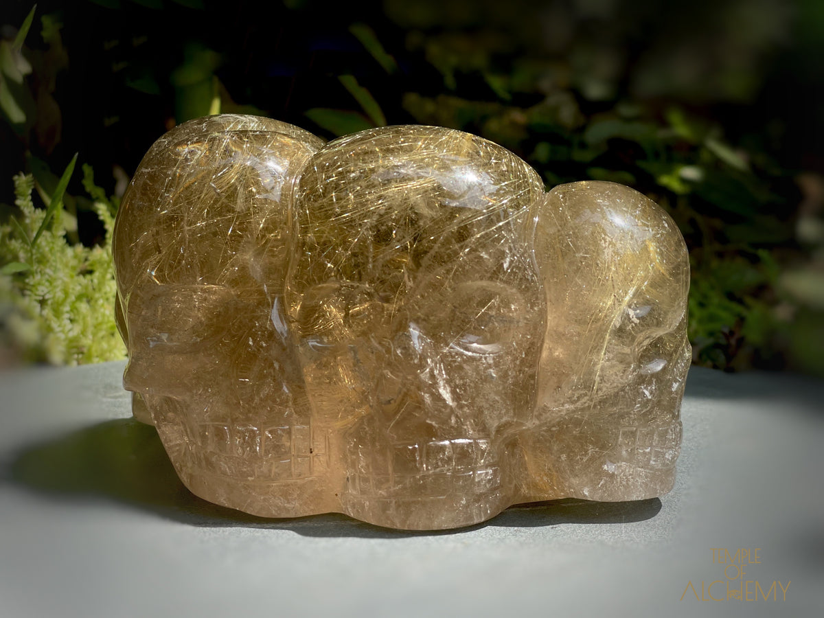 Smoky Citrine x Golden Rutiles