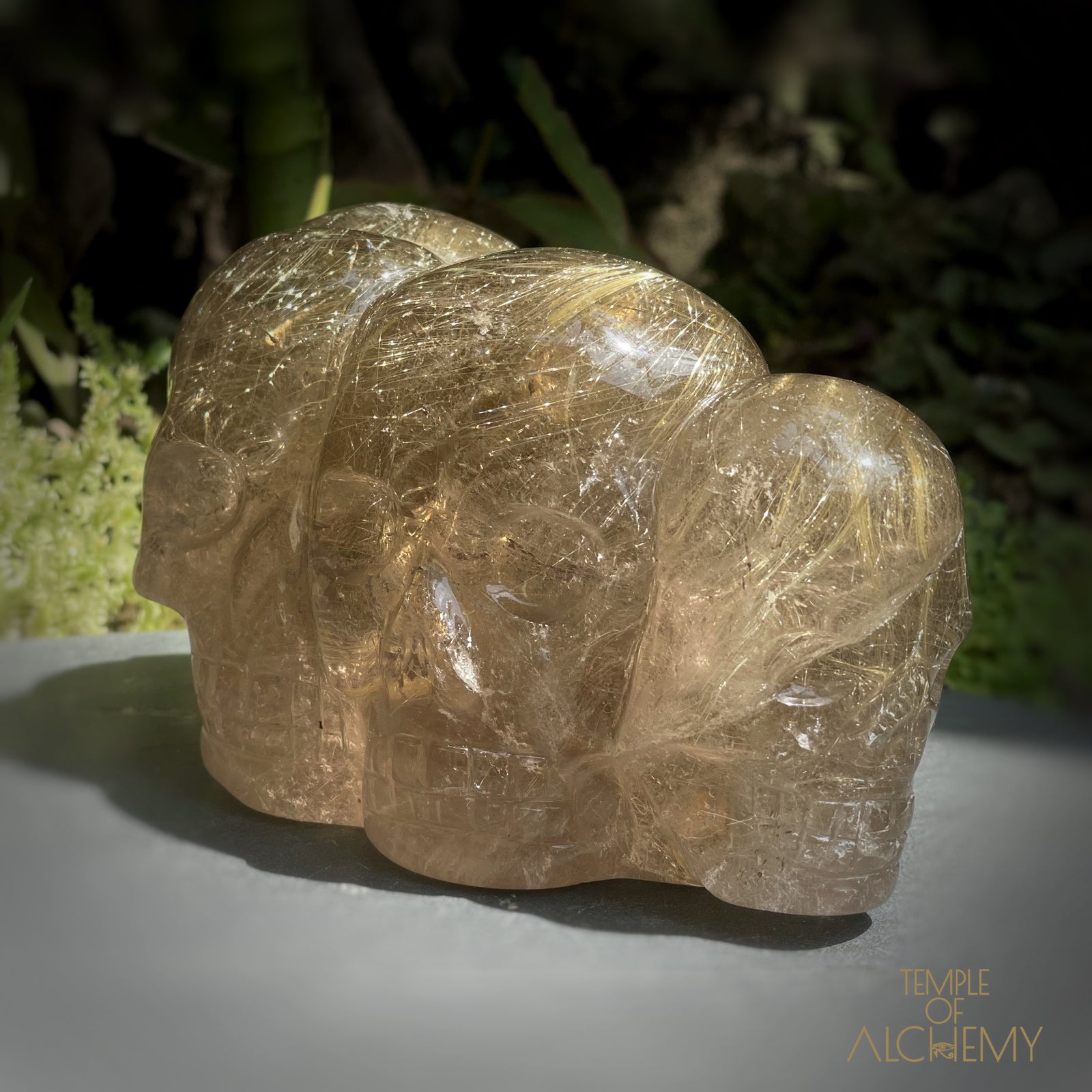 Smoky Citrine x Golden Rutiles