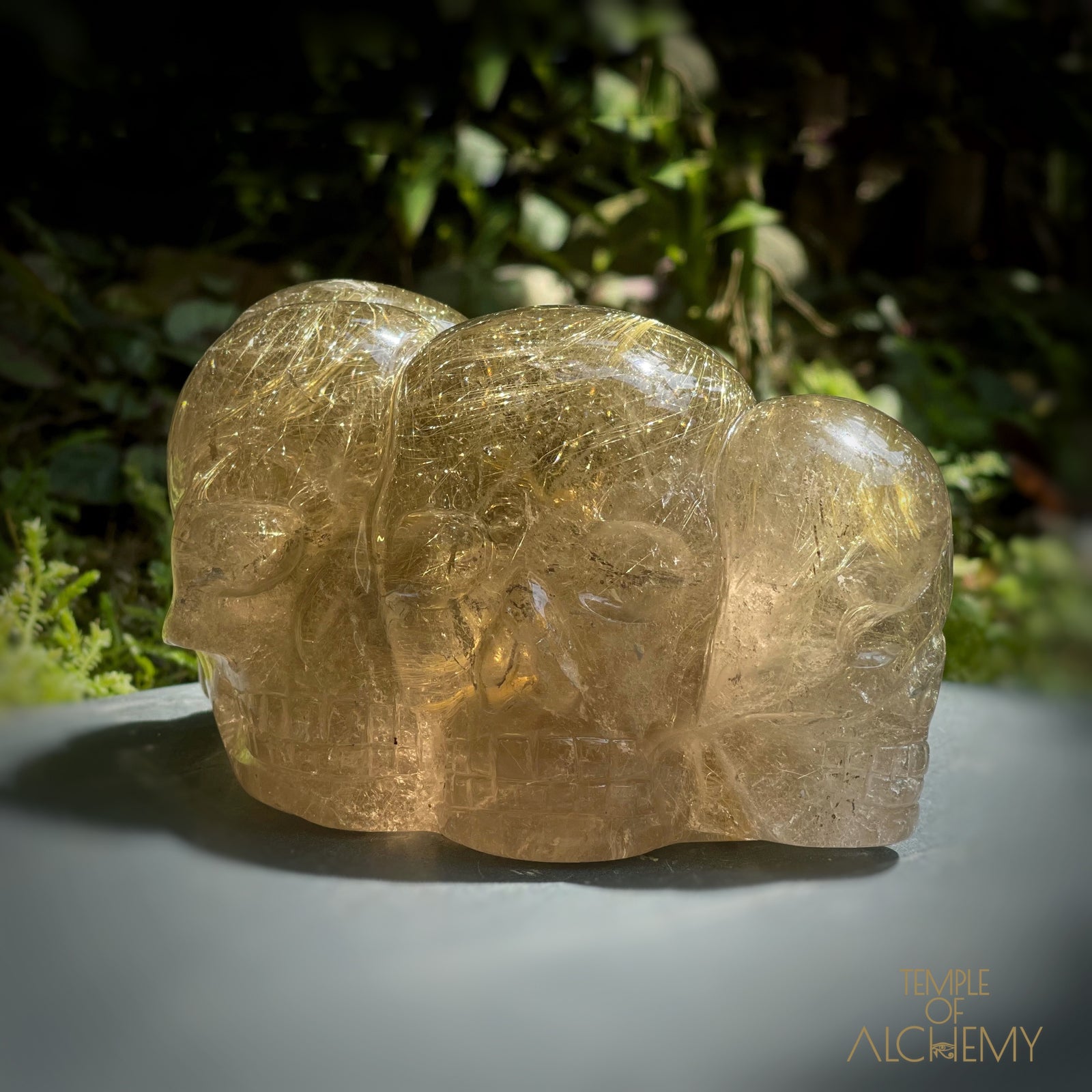 Smoky Citrine x Golden Rutiles