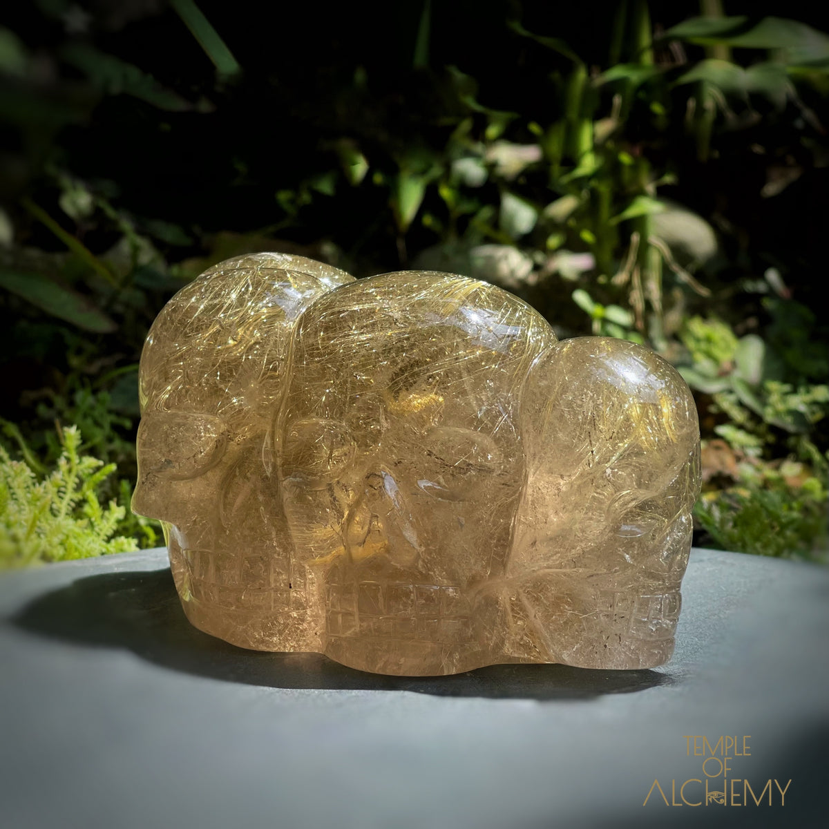 Smoky Citrine x Golden Rutiles