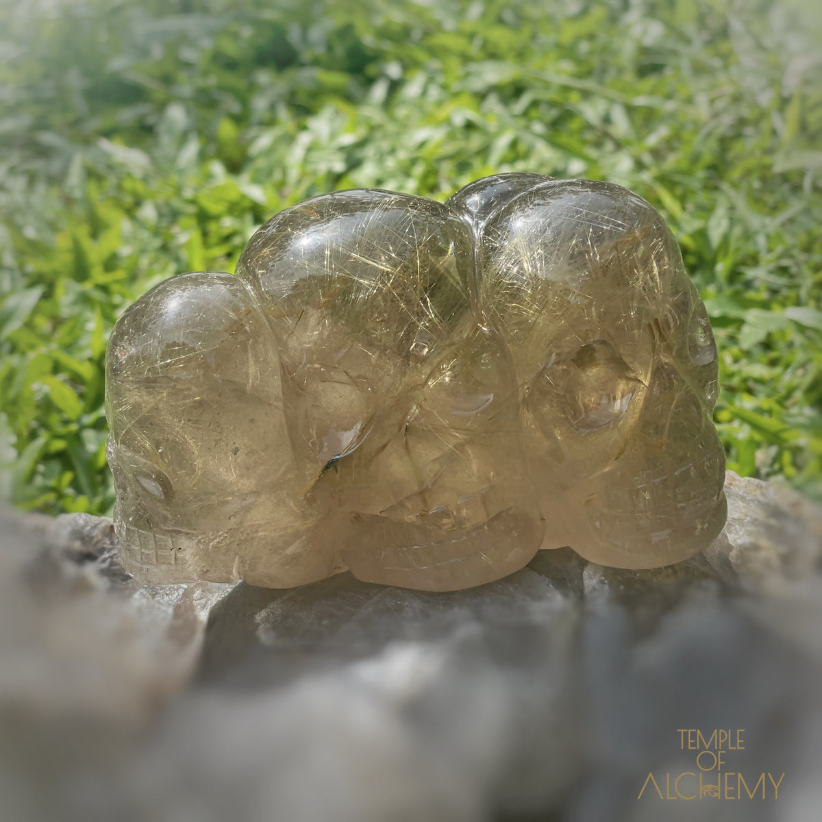 Smoky Citrine x Golden Rutiles