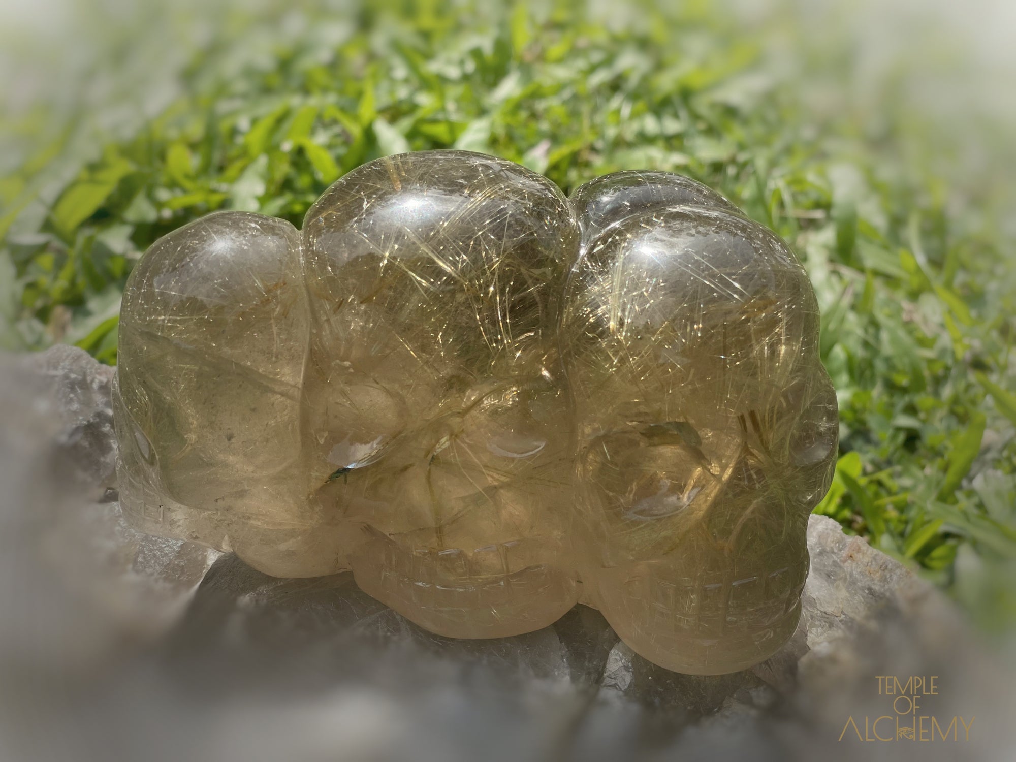 Smoky Citrine x Golden Rutiles