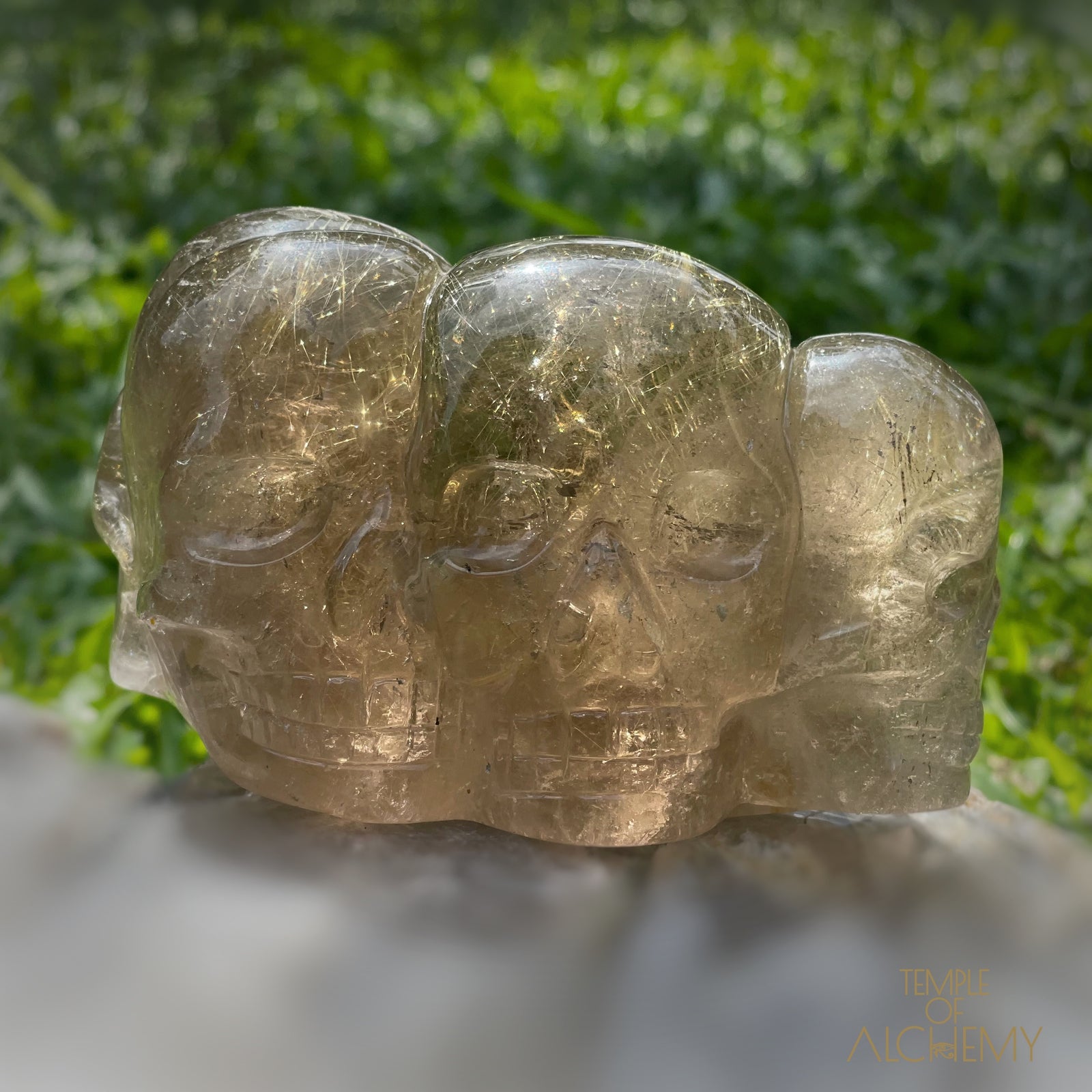 Smoky Citrine x Golden Rutiles