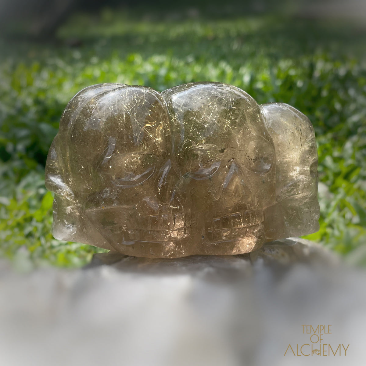 Smoky Citrine x Golden Rutiles