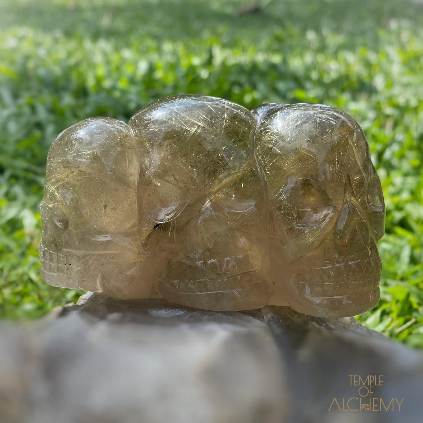 Smoky Citrine x Golden Rutiles