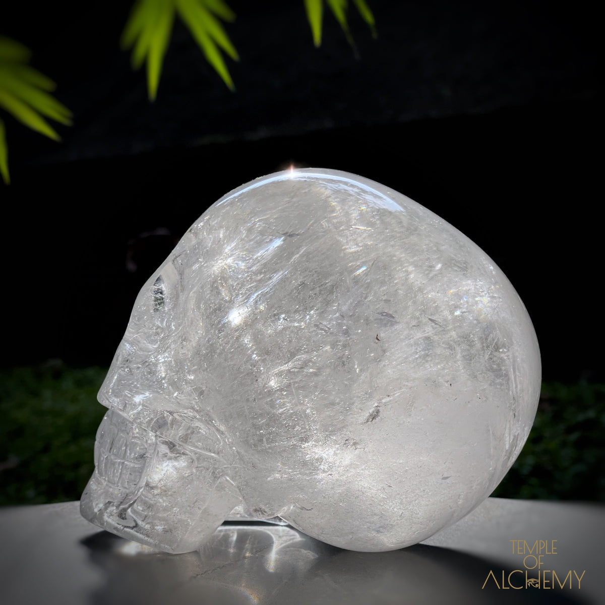 𓁹 ♡ 𓁹  Sirius Quartz