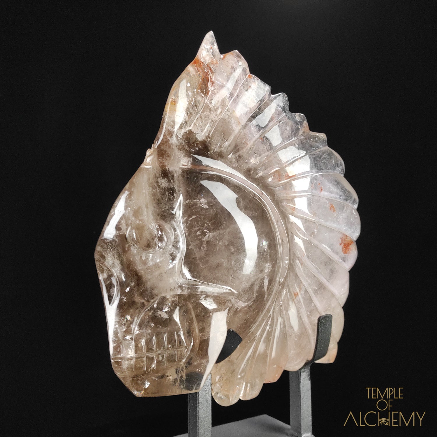 Eclipse, the Chief Spirit Warrior