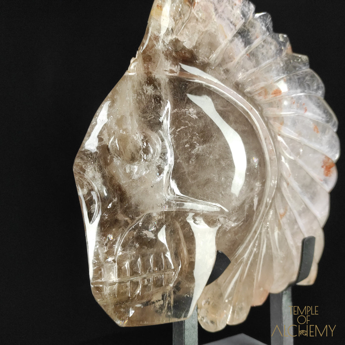 Eclipse, the Chief Spirit Warrior