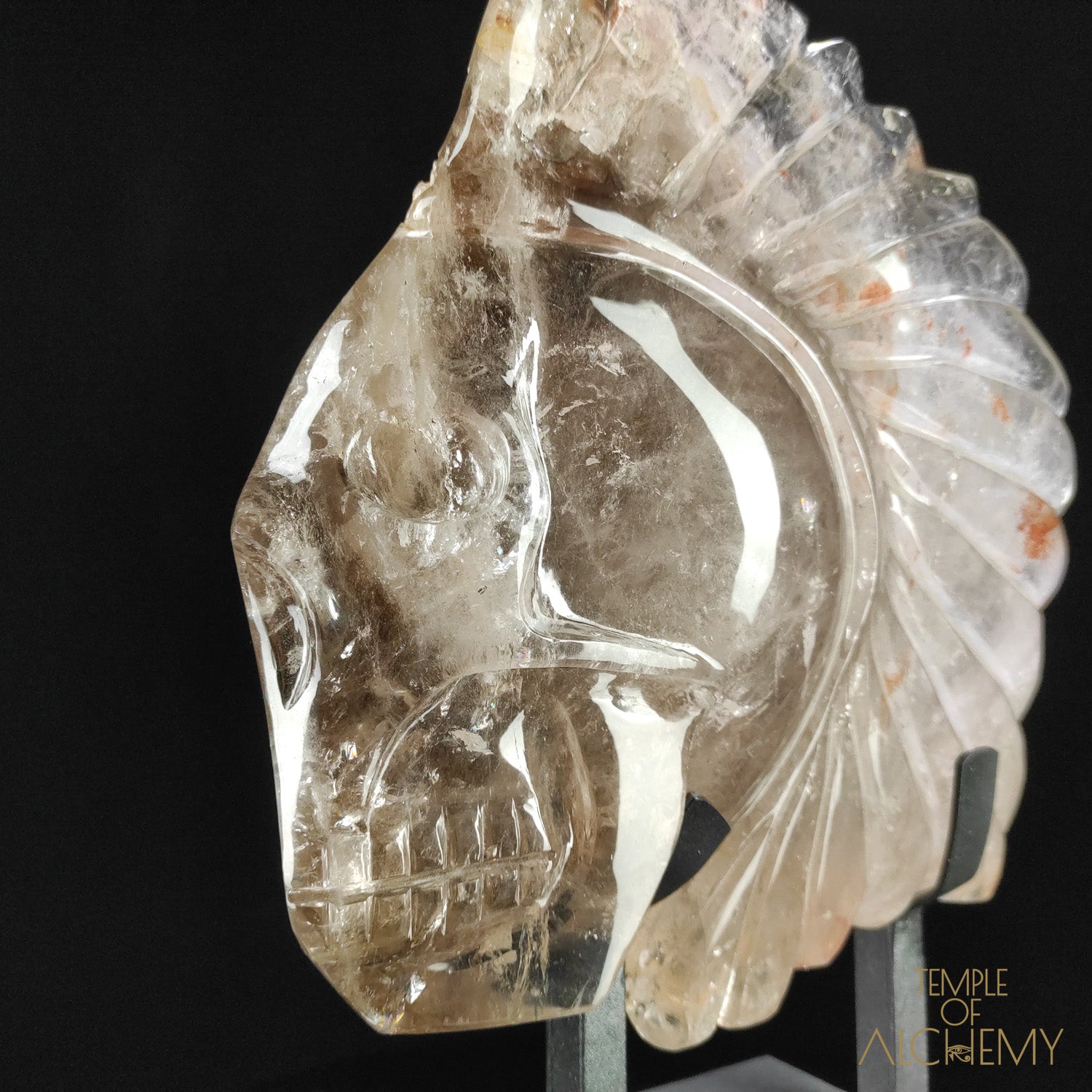 Eclipse, the Chief Spirit Warrior