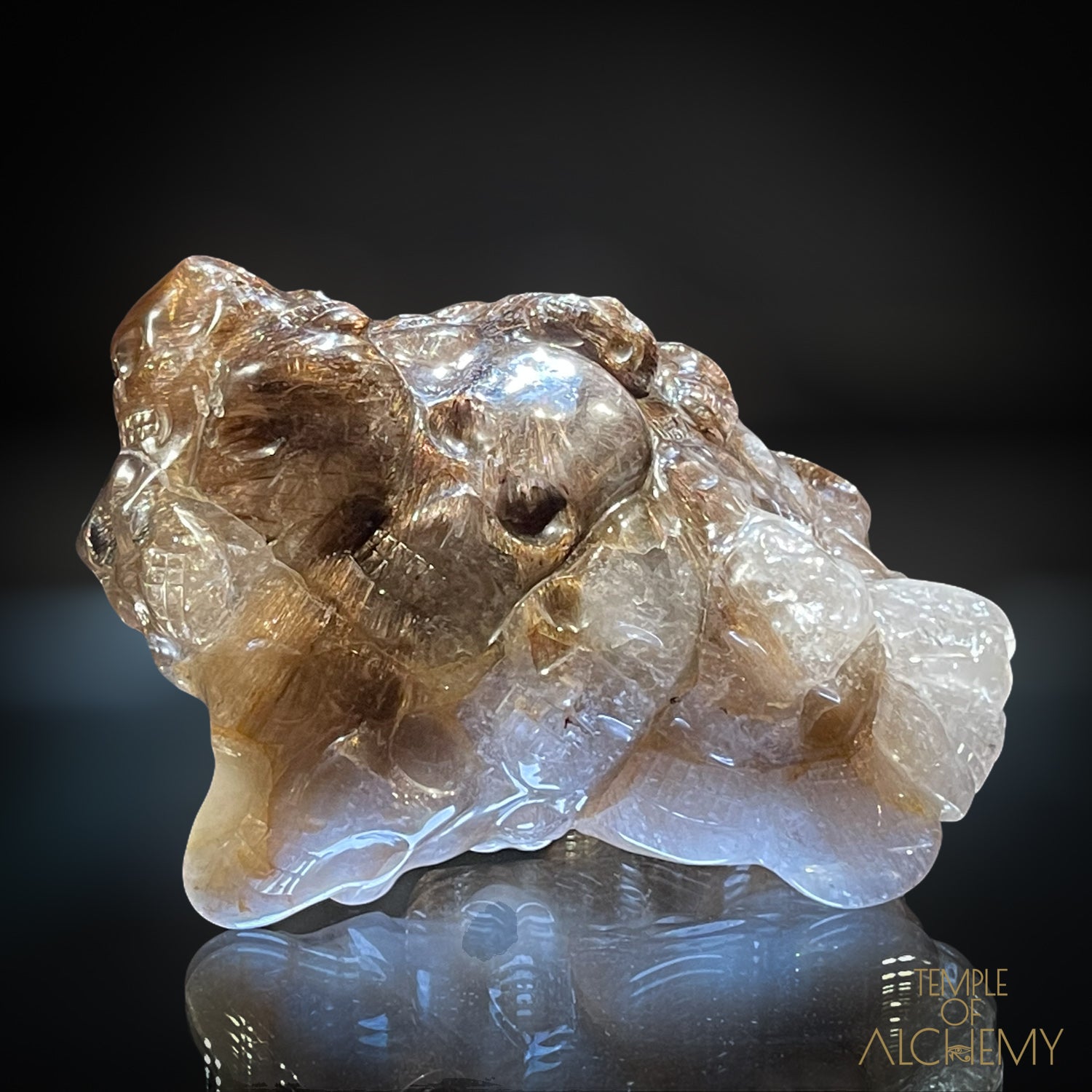 𓂀 35 Master Skulls 𓂀 Supreme Grade Smokey Citrine x Golden Rutiles