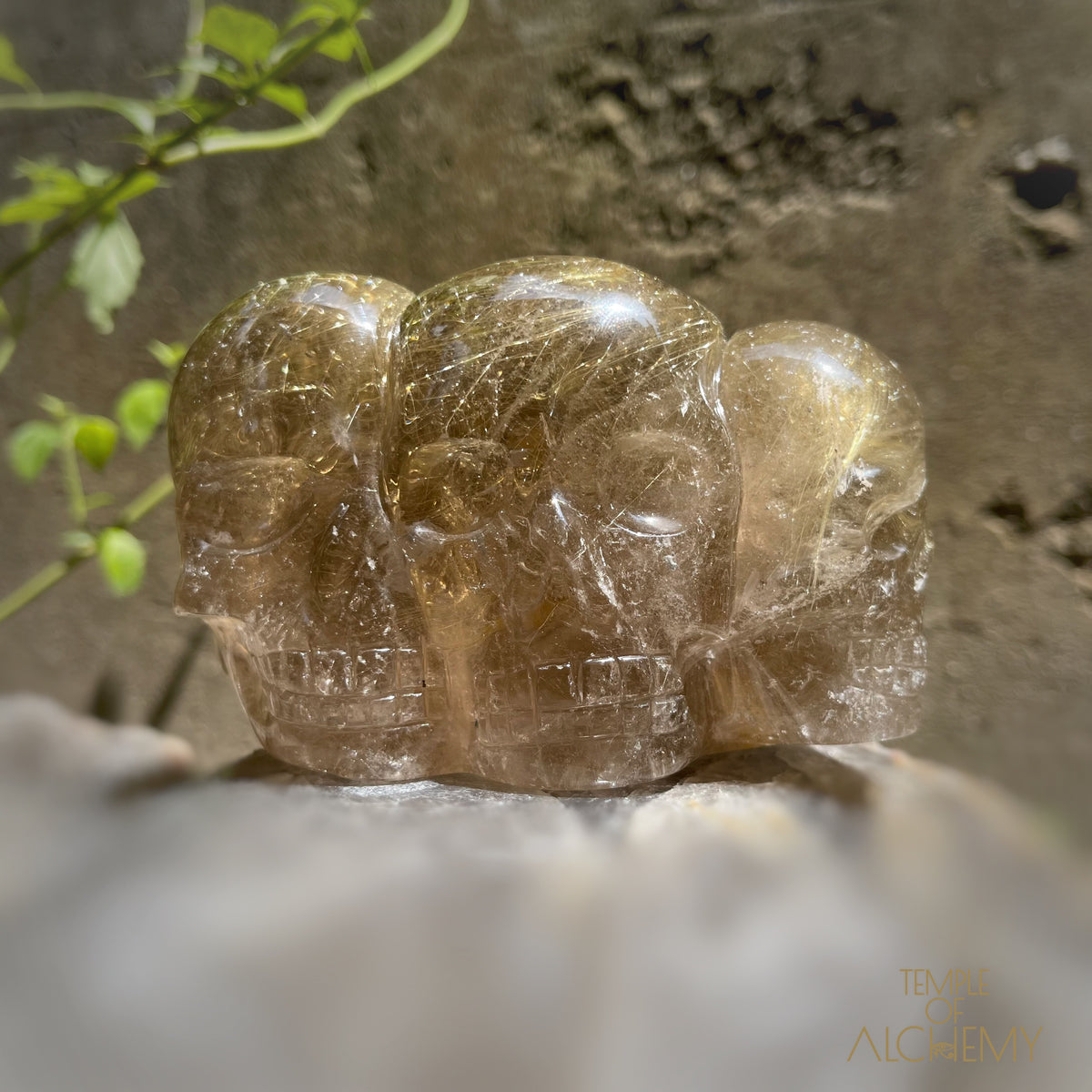 Smoky Citrine x Golden Rutiles