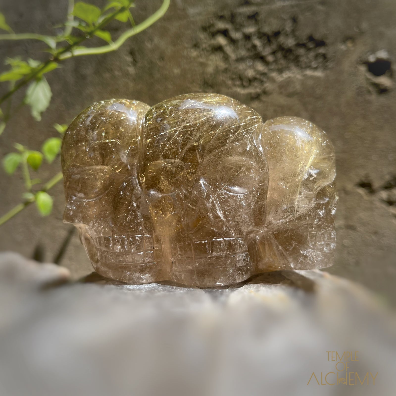 Smoky Citrine x Golden Rutiles