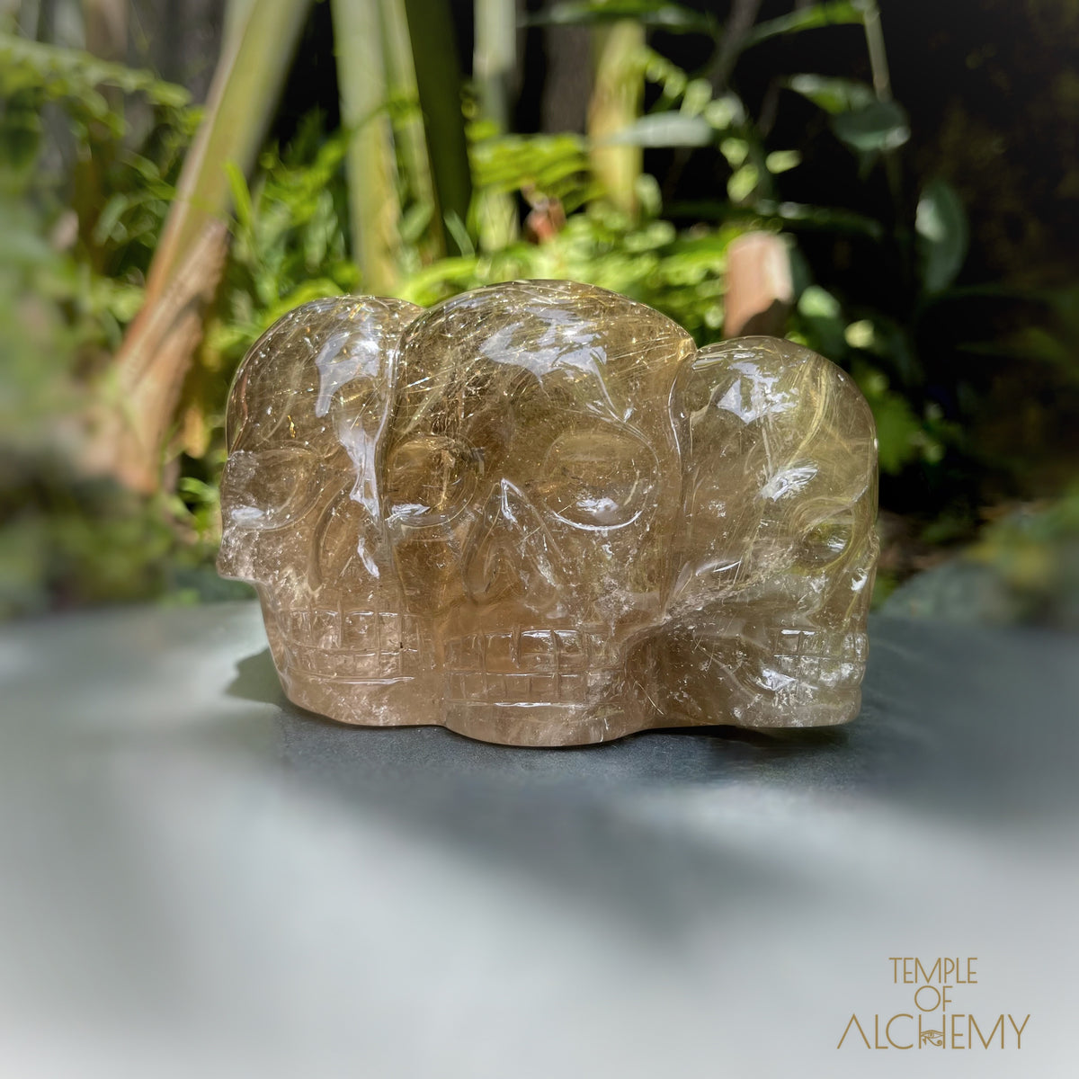 Smoky Citrine x Golden Rutiles