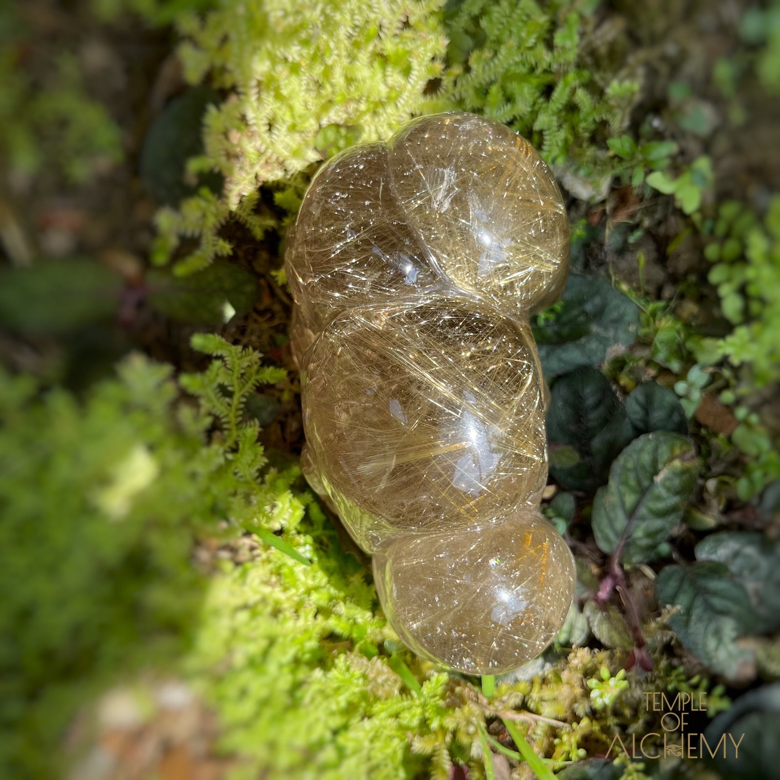 Smoky Citrine x Golden Rutiles