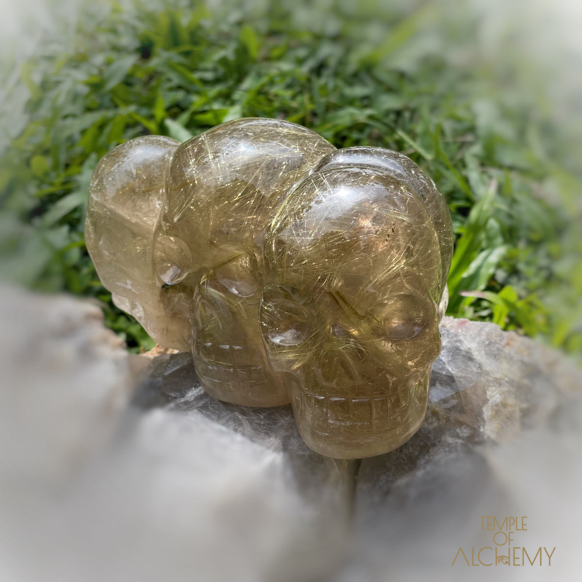 Smoky Citrine x Golden Rutiles