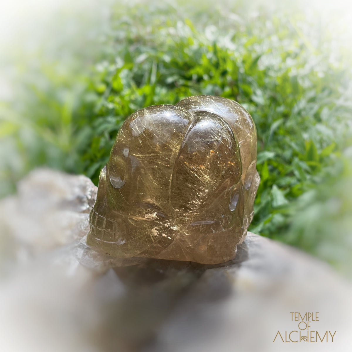 Smoky Citrine x Golden Rutiles