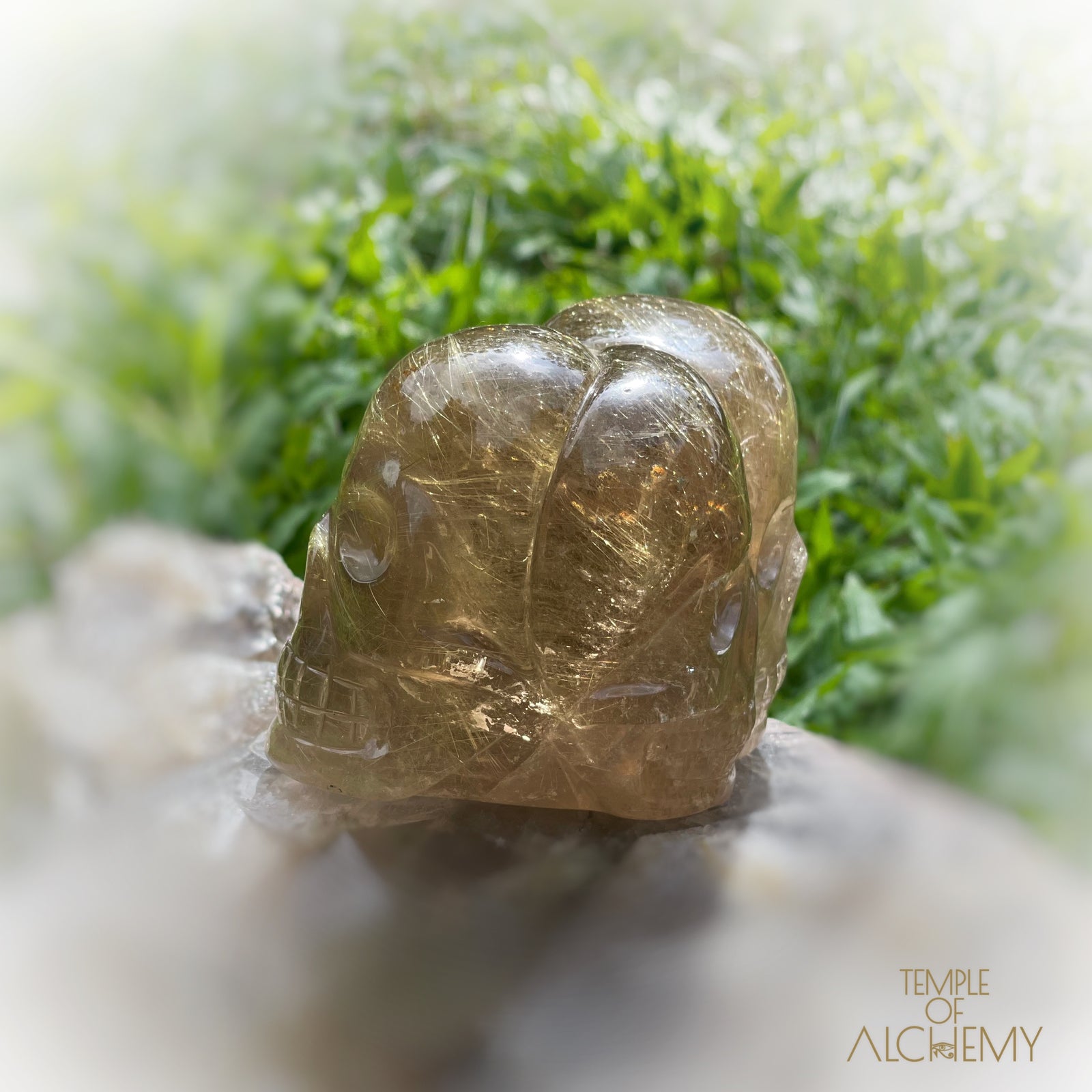 Smoky Citrine x Golden Rutiles