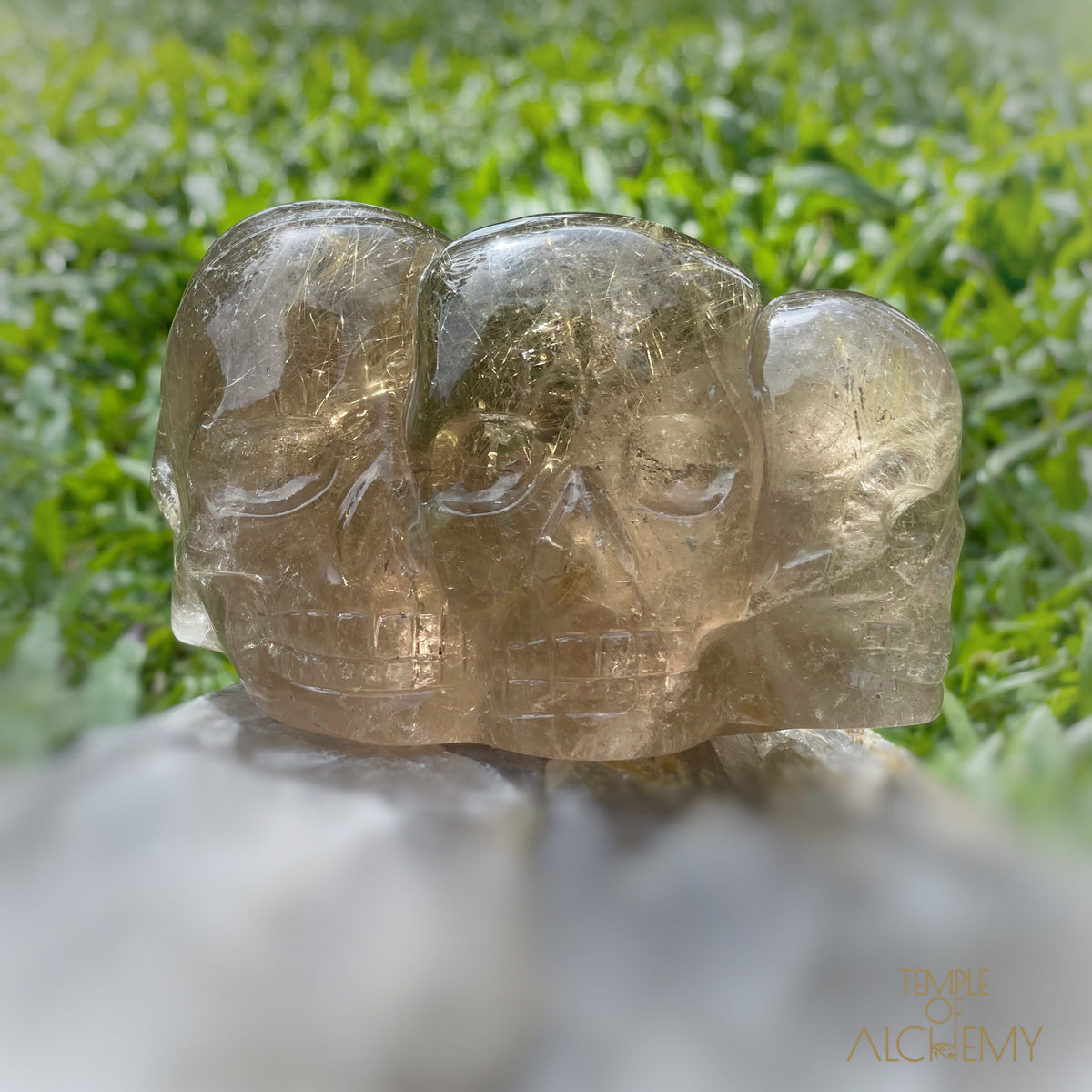 Smoky Citrine x Golden Rutiles