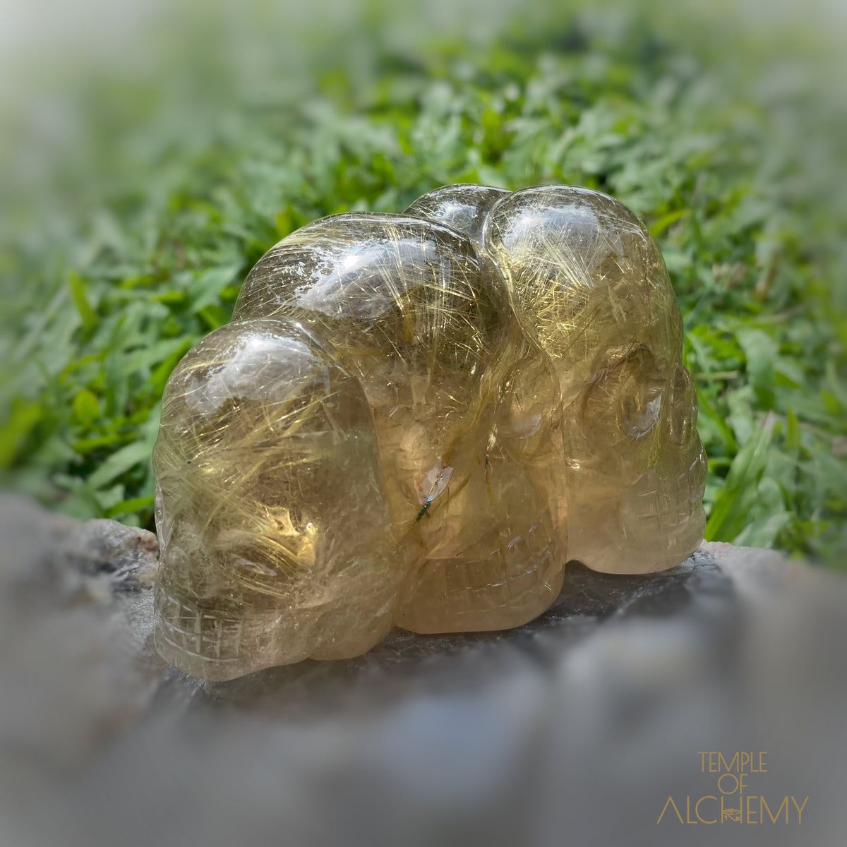 Smoky Citrine x Golden Rutiles