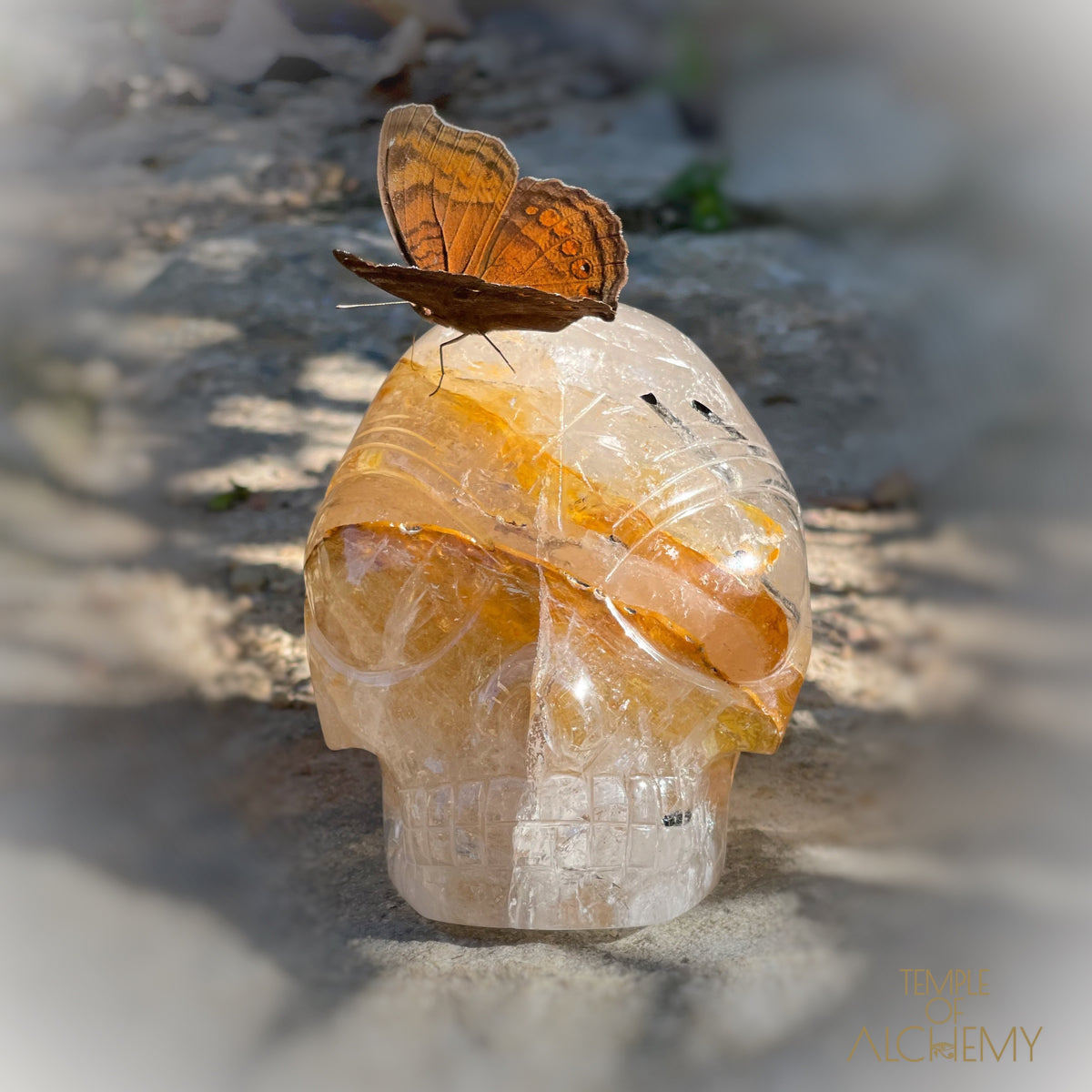 Golden Healer x Black Tourmaline