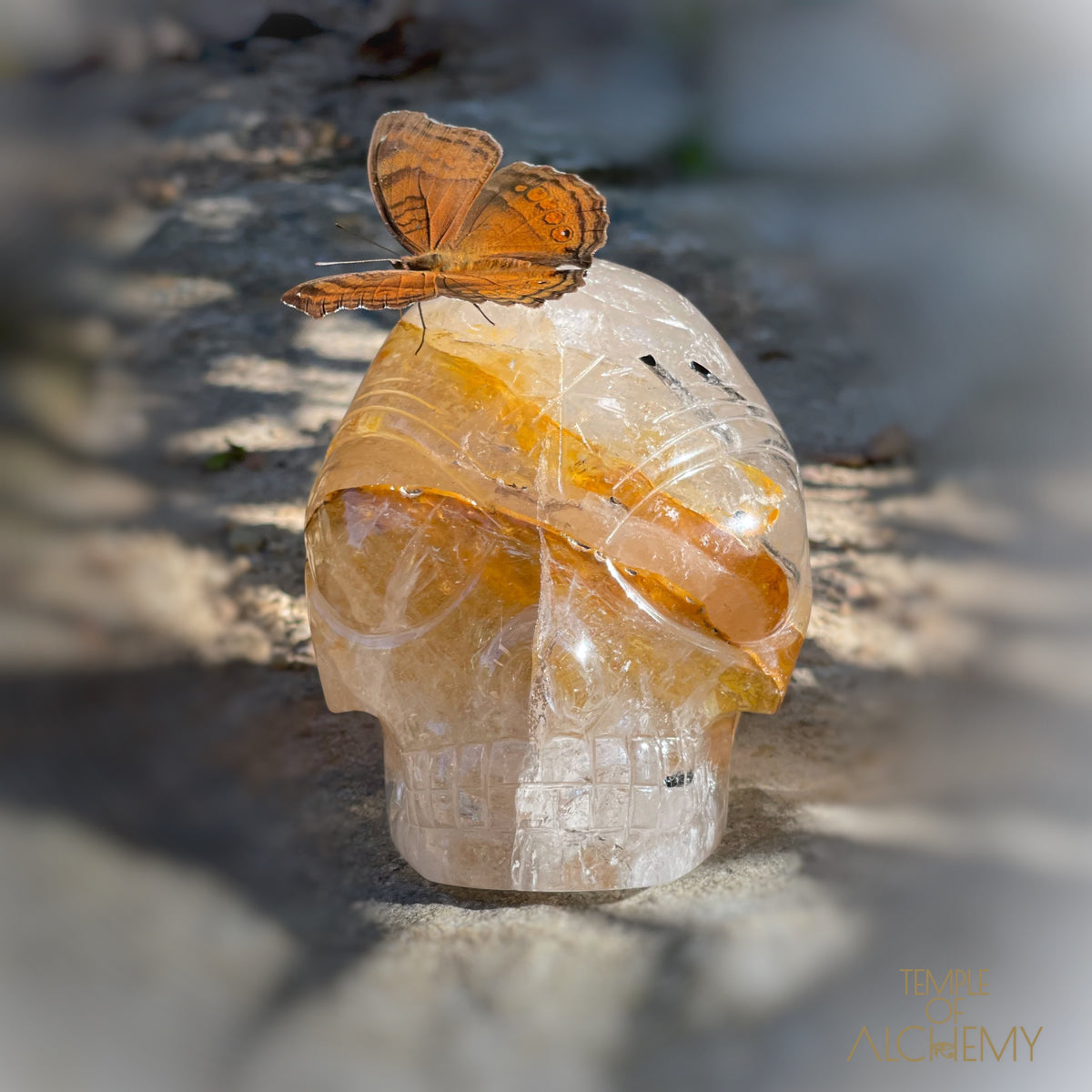 Golden Healer x Black Tourmaline