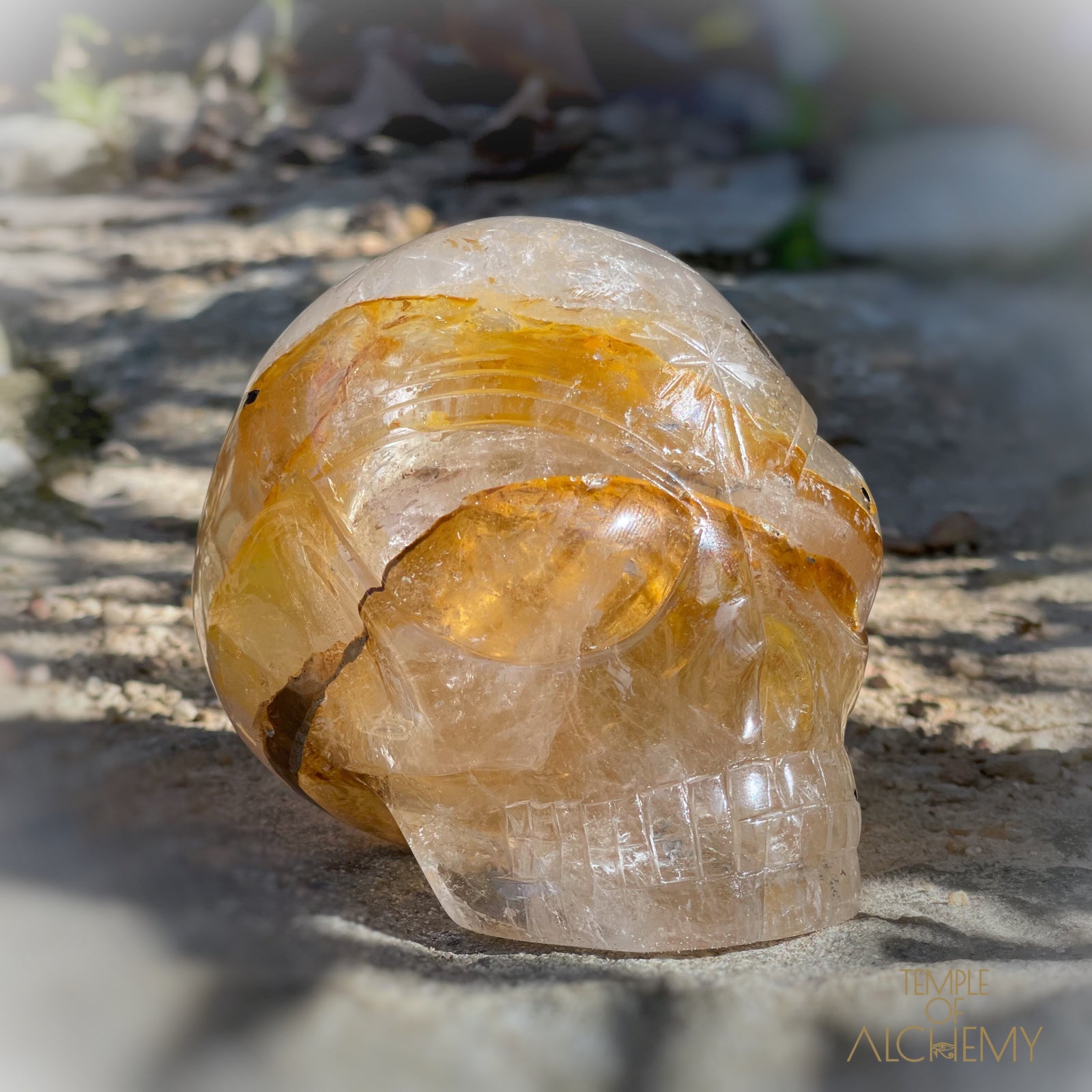 Golden Healer x Black Tourmaline