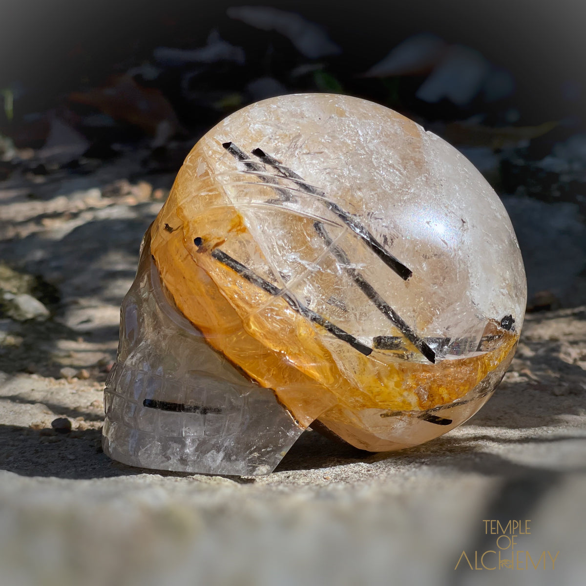 Golden Healer x Black Tourmaline