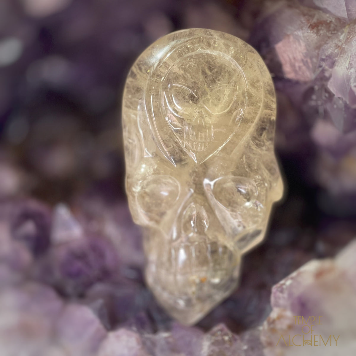 Citrine Elestial x Pyrite