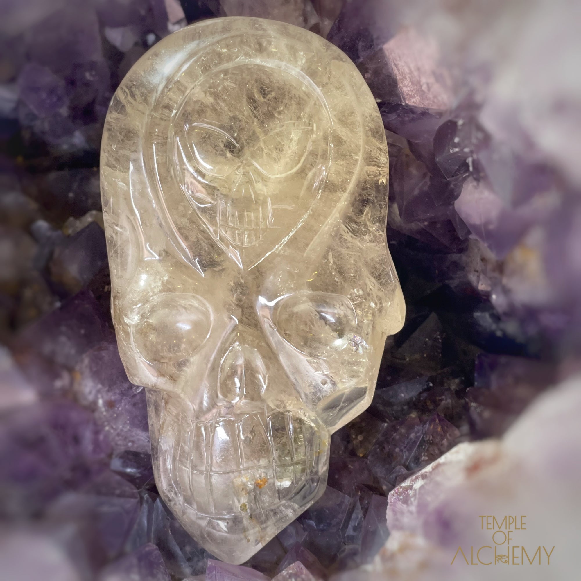 Citrine Elestial x Pyrite Crystal Skull by Leandro Souza - Temple of Alchemy