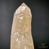 Lemurian 🌈