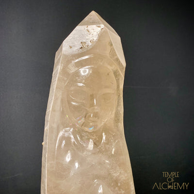 Lemurian 🌈