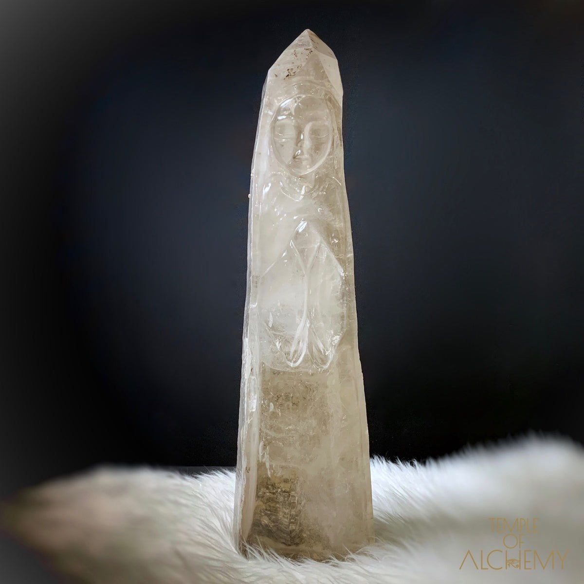 * Reserved C * Lemurian 🌈