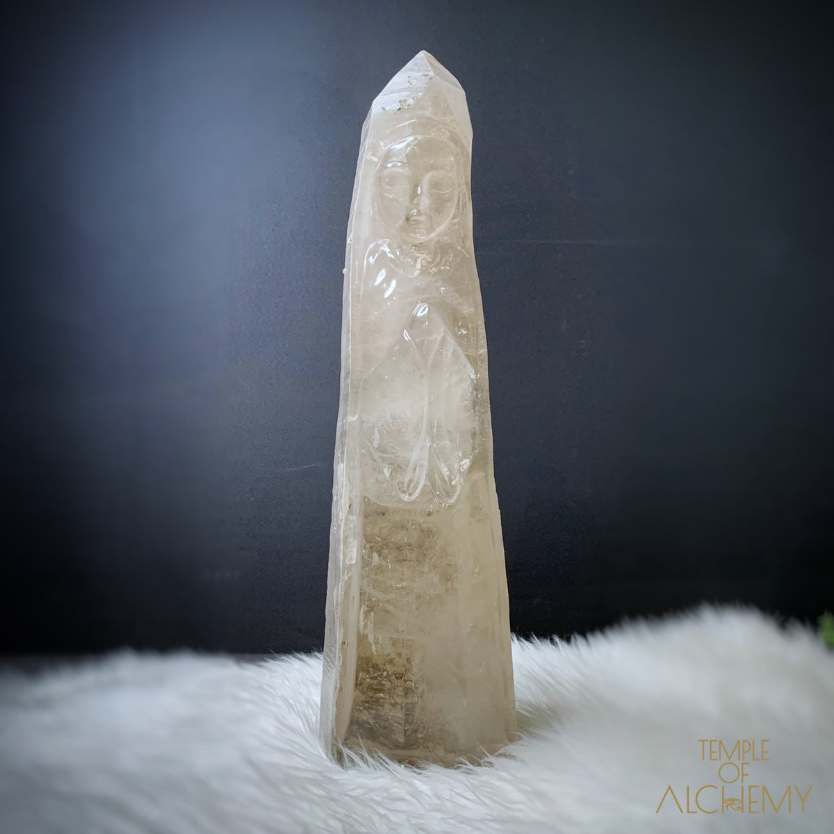 * Reserved C * Lemurian 🌈
