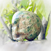 Epidote