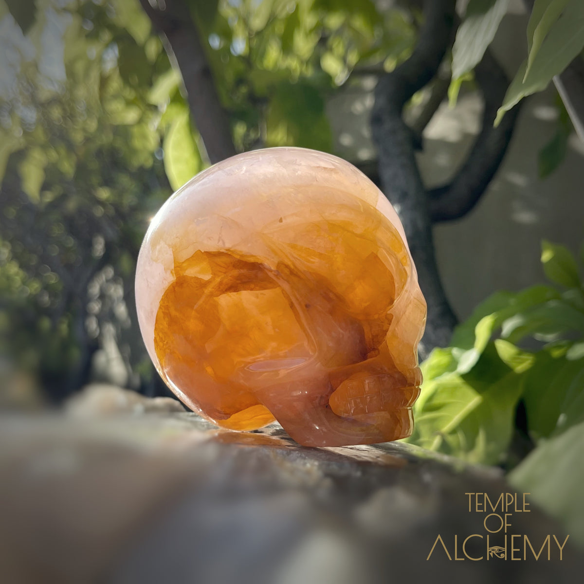 Rose Quartz x Golden Healer