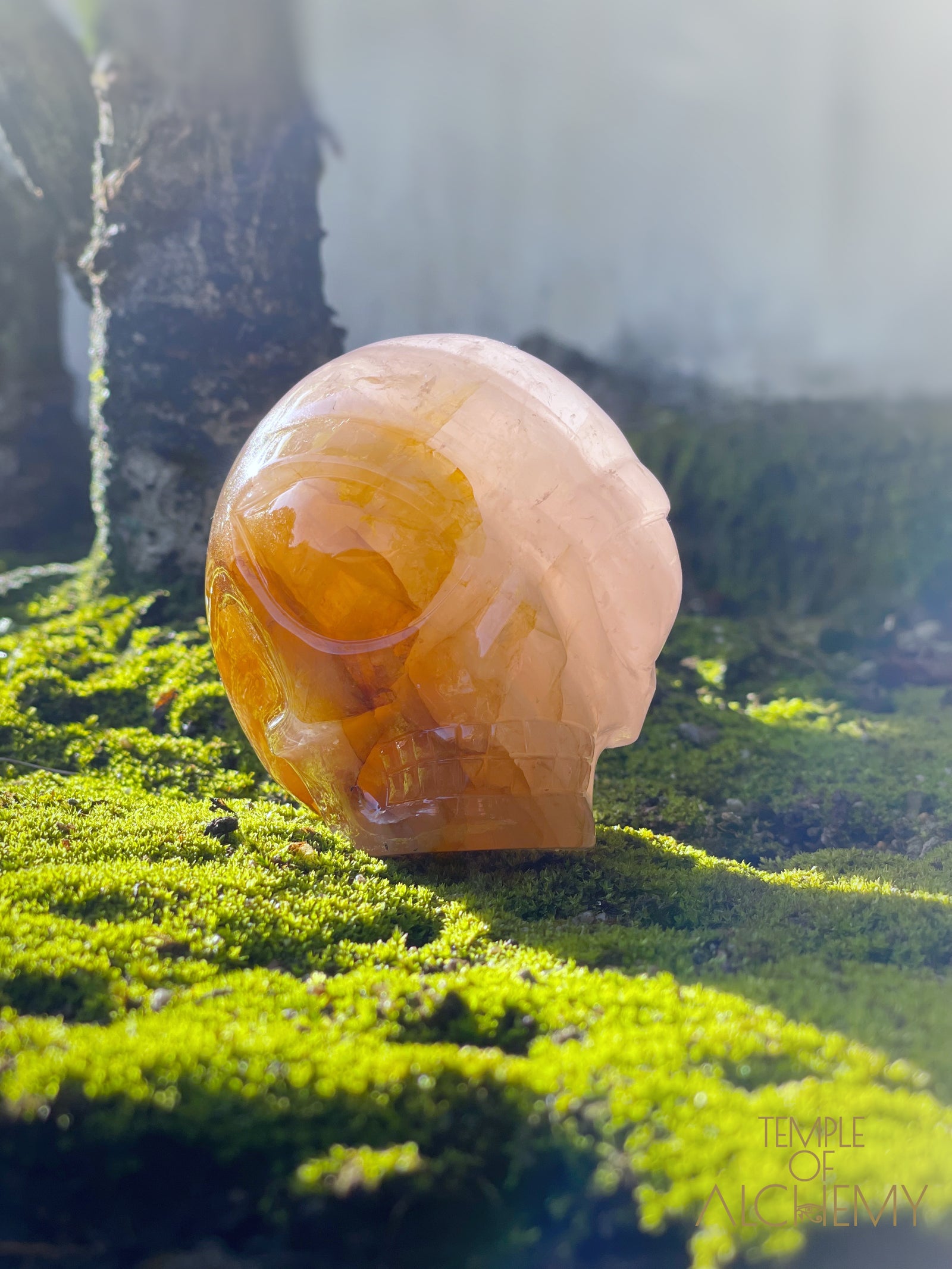 Rose Quartz x Golden Healer