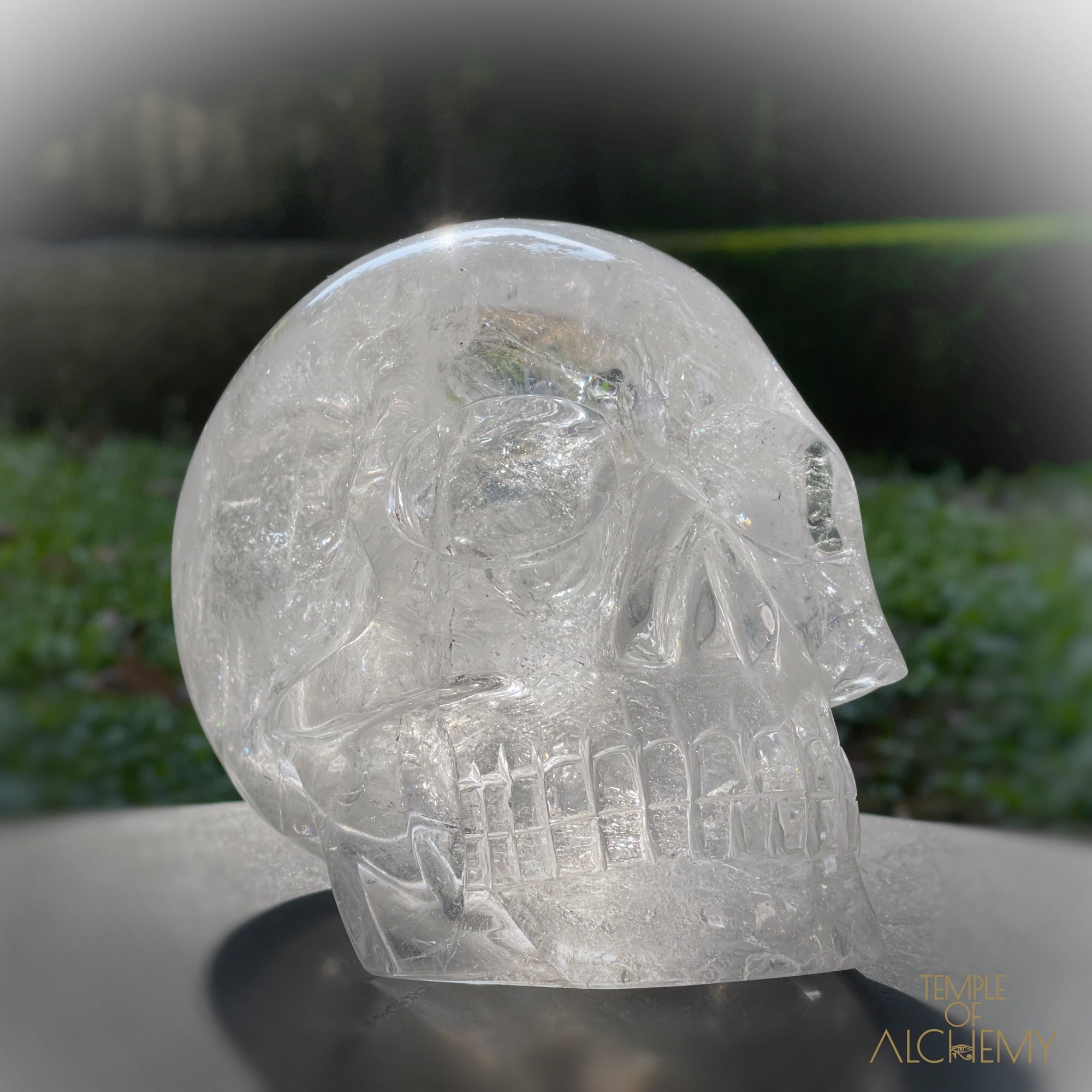 𓁹 ♡ 𓁹 Sirius Quartz Crystal Skull by Leandro Souza - Temple of Alchemy