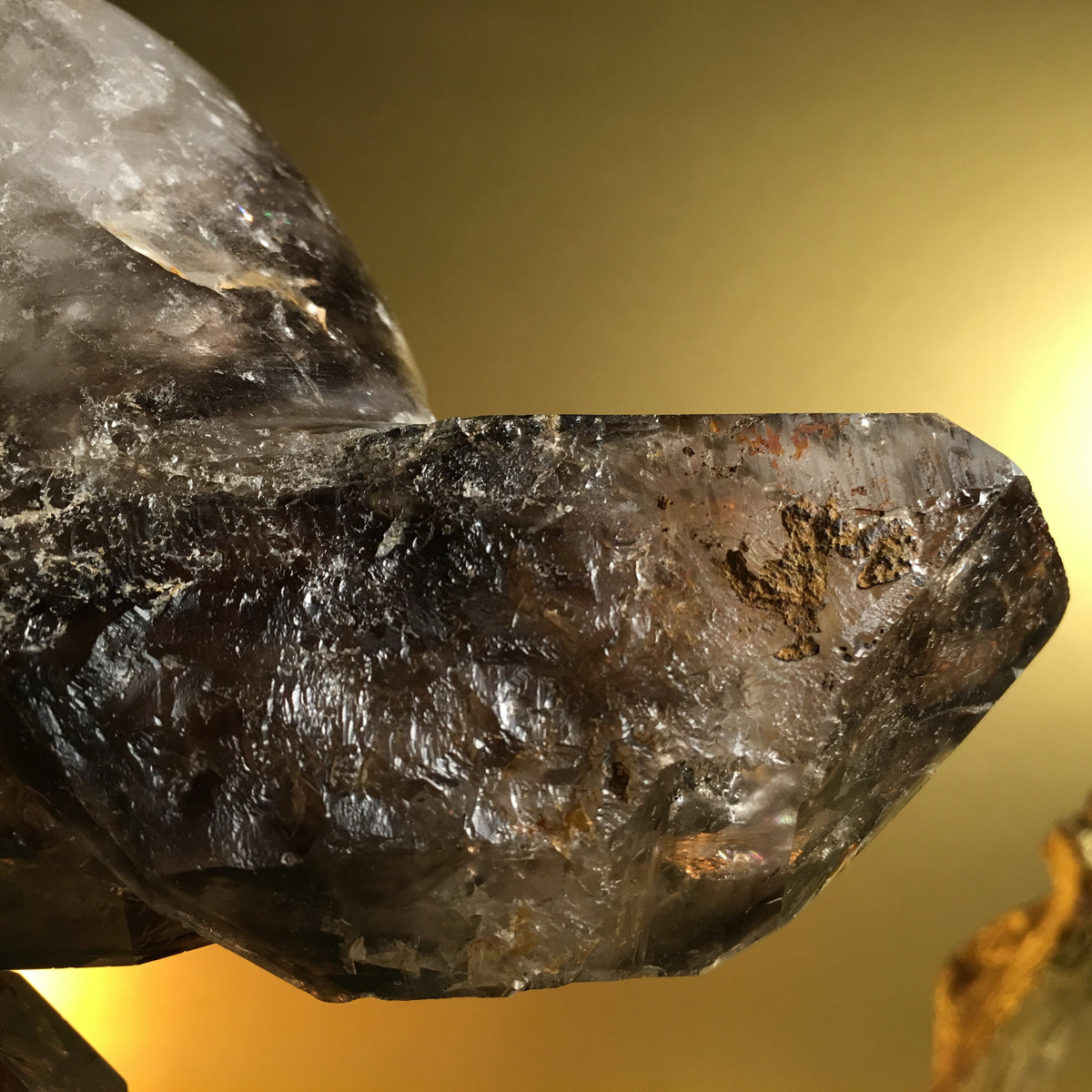 Smokey Elestial - crystal skull - Leandro de Souza - 21