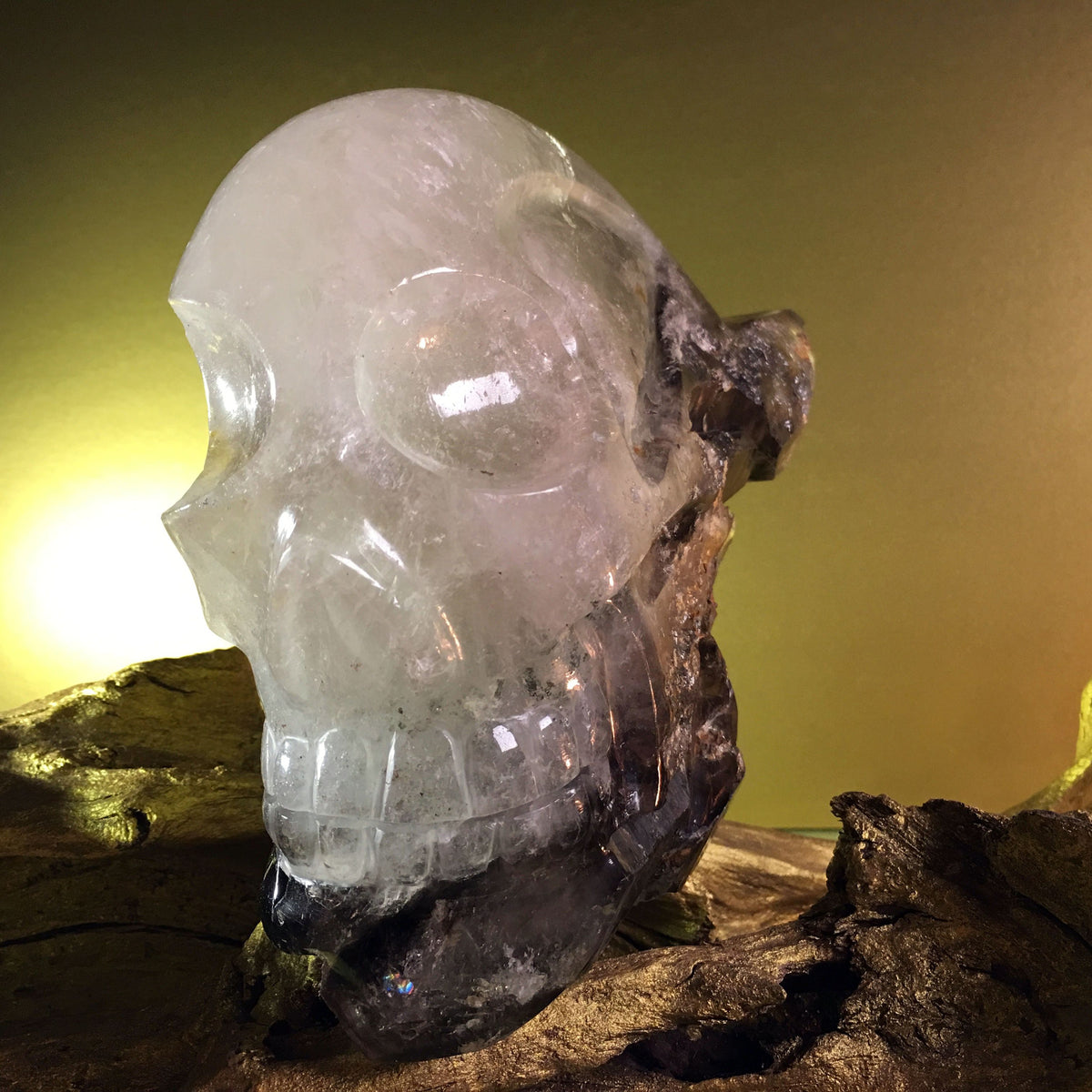 Smokey Elestial - crystal skull - Leandro de Souza - 34
