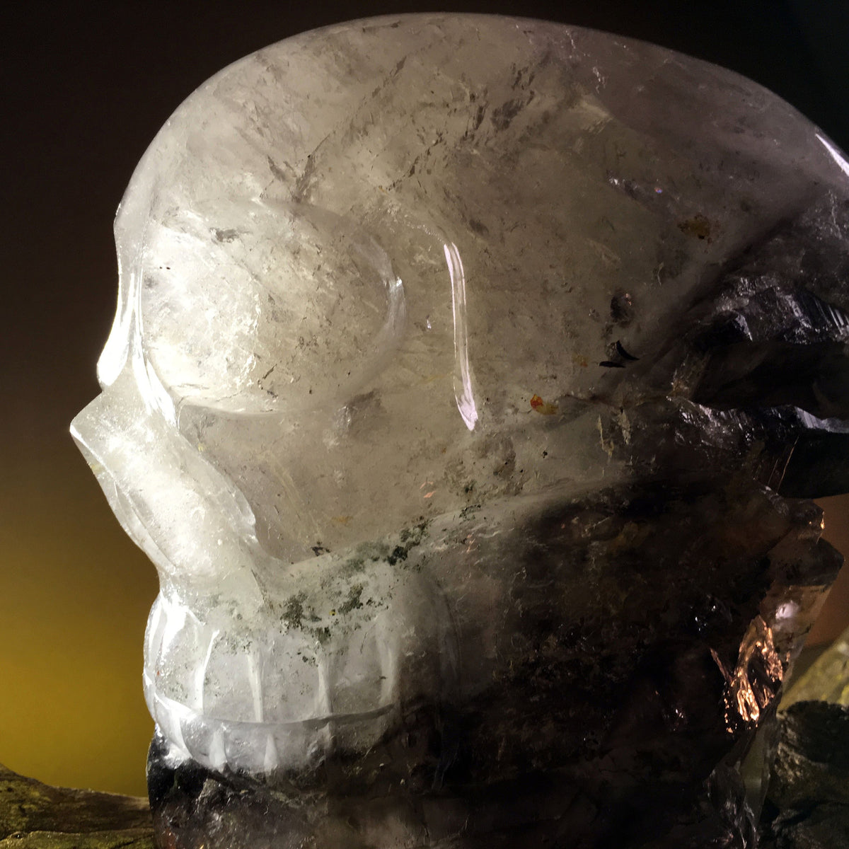 Smokey Elestial - crystal skull - Leandro de Souza - 2