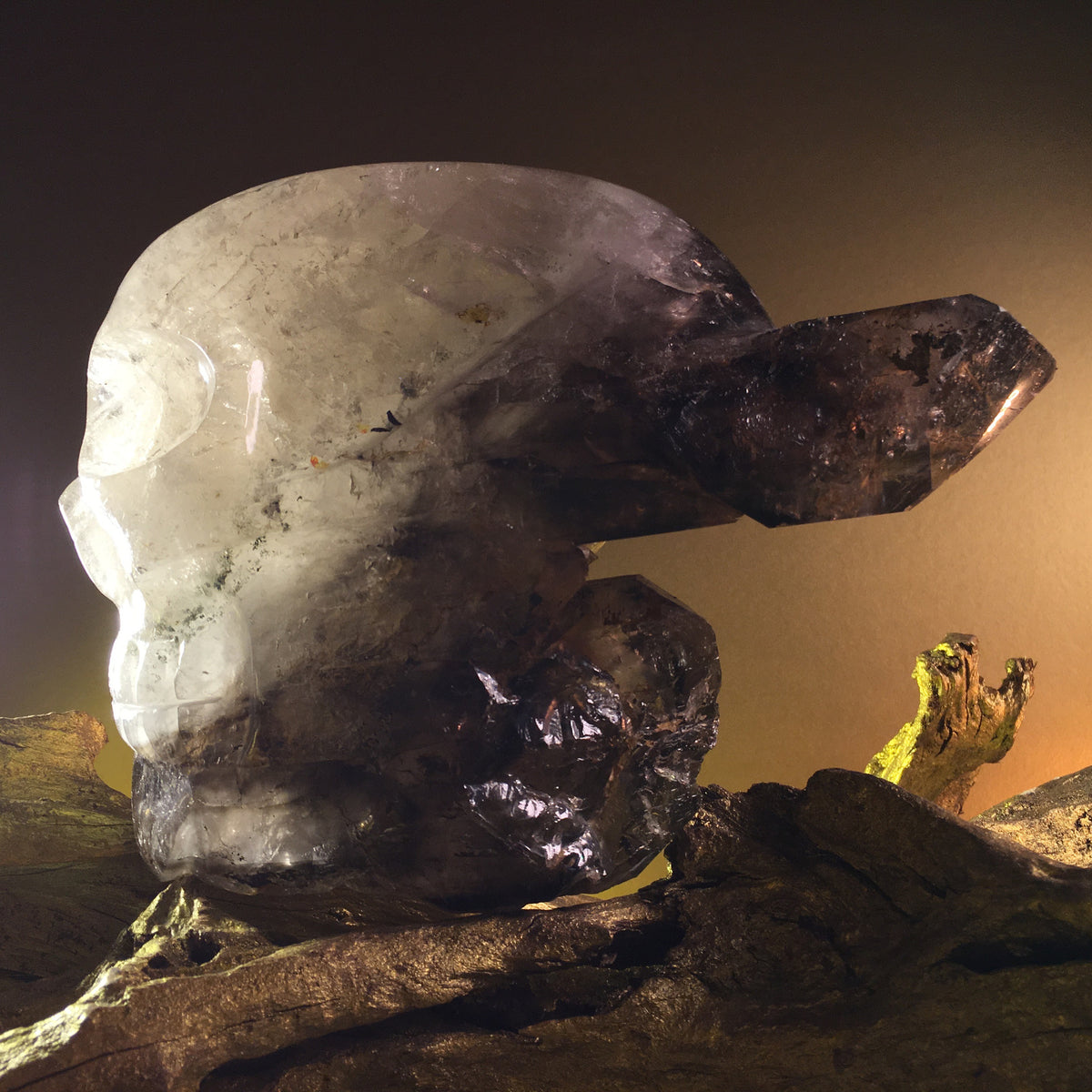 Smokey Elestial - crystal skull - Leandro de Souza - 35