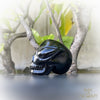 Black Obsidian