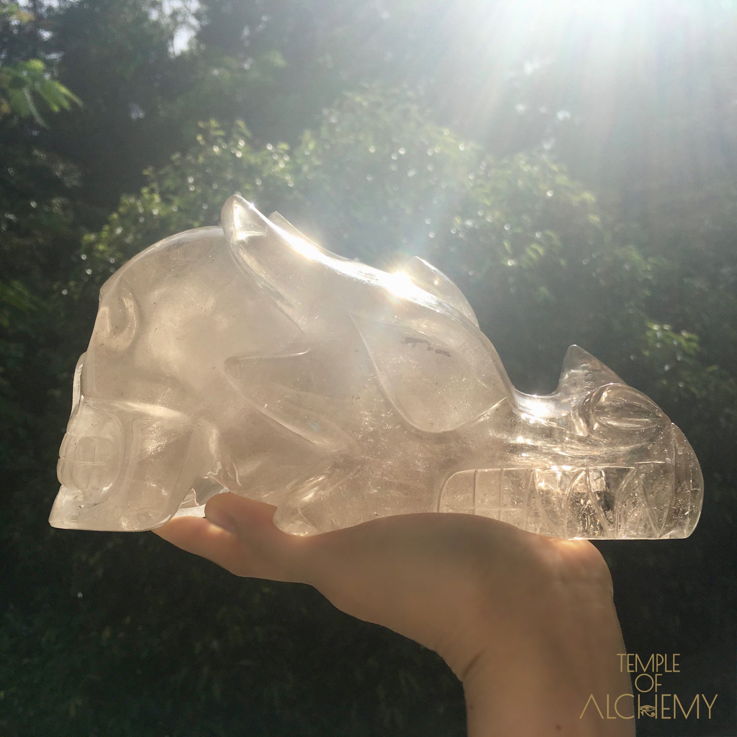 Smokey Quartz + Rainbows