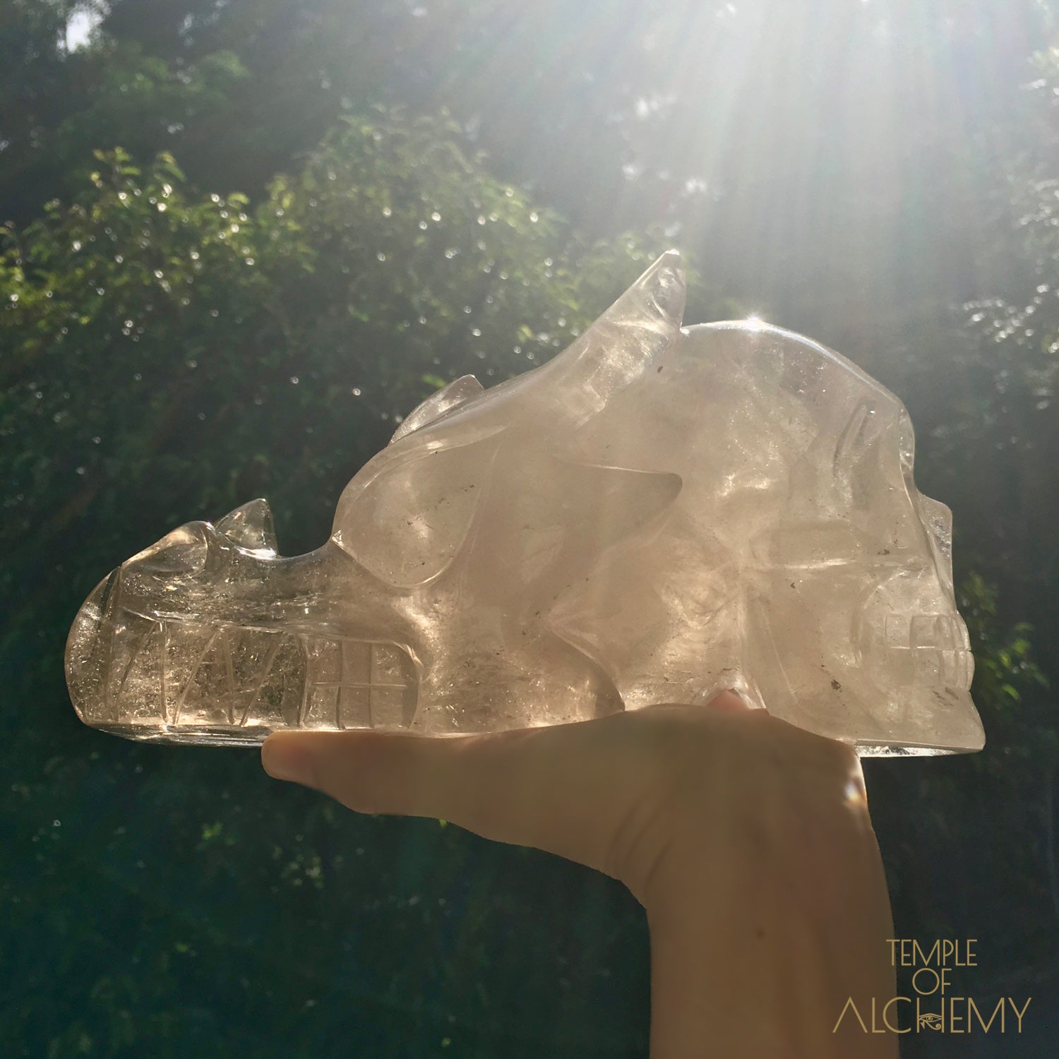 Smokey Quartz + Rainbows