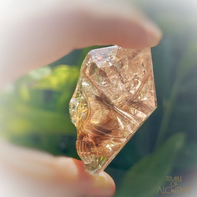 Smokey Citrine x Golden Copper Rutiles