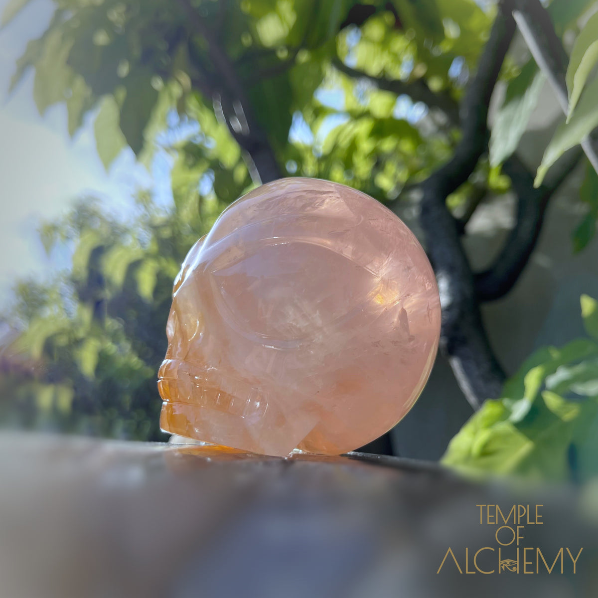 Rose Quartz x Golden Healer