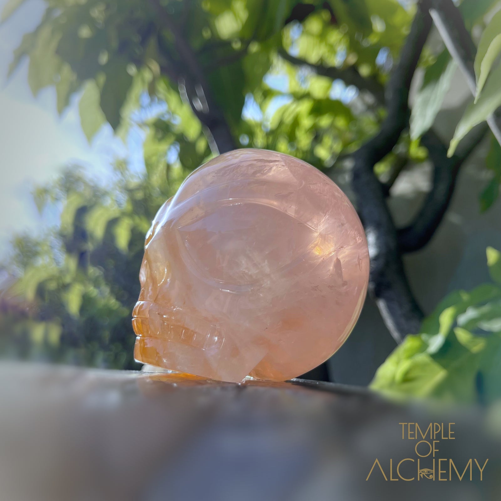 Rose Quartz x Golden Healer